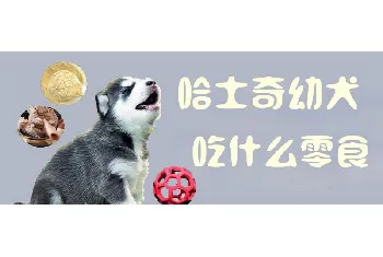 哈士奇幼犬吃什么零食