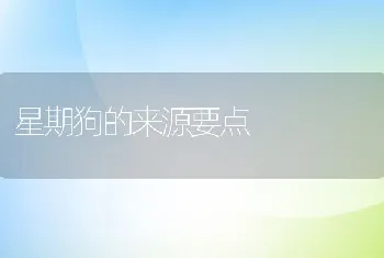 星期狗的来源要点