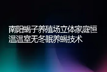 南阳蝎子养殖场立体家庭恒温温室无冬眠养蝎技术