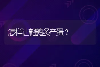 怎样让鹌鹑多产蛋？