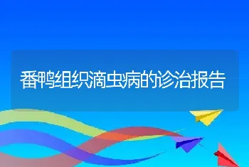 番鸭组织滴虫病的诊治报告