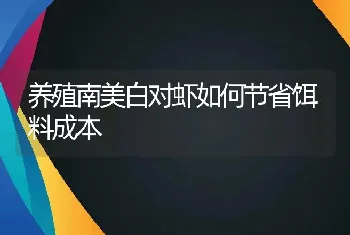 养殖南美白对虾如何节省饵料成本