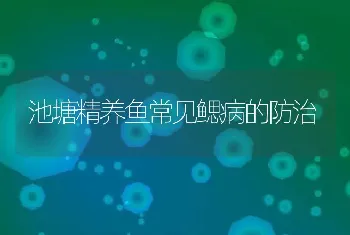 池塘精养鱼常见鳃病的防治