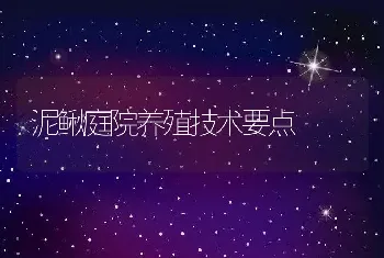 泥鳅庭院养殖技术要点