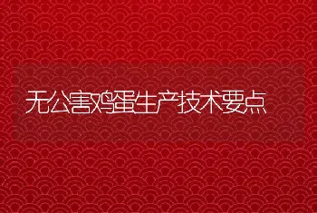 无公害鸡蛋生产技术要点