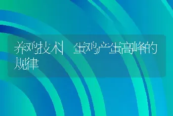 养鸡技术|蛋鸡产蛋高峰的规律