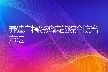 养殖户搞好鸡病的综合防治方法