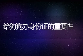 给狗狗办身份证的重要性