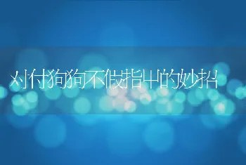 对付狗狗不假指甲的妙招