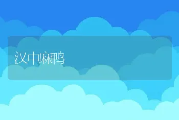 汉中麻鸭