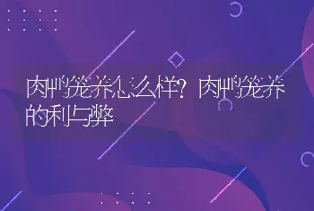 肉鸭笼养怎么样？肉鸭笼养的利与弊