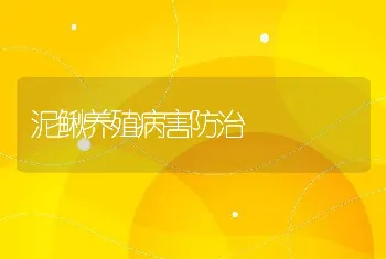 泥鳅养殖病害防治