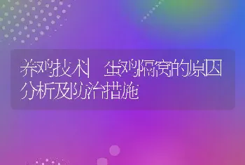 养鸡技术|蛋鸡隔窝的原因分析及防治措施