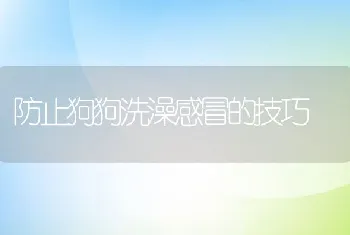 防止狗狗洗澡感冒的技巧