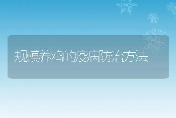 规模养鸡的疫病防治方法