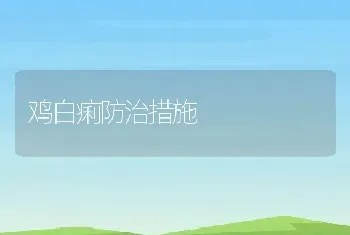 鸡白痢防治措施