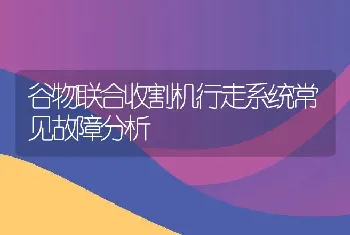 谷物联合收割机行走系统常见故障分析