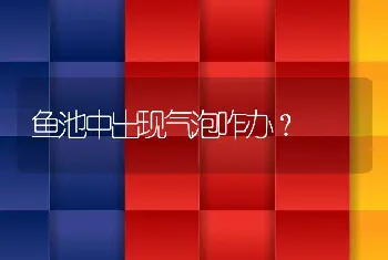 鱼池中出现气泡咋办？