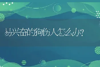 易兴奋的狗伤人怎么办?