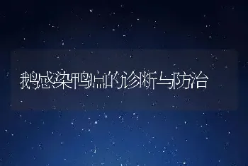 鹅感染鸭瘟的诊断与防治