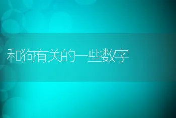 和狗有关的一些数字