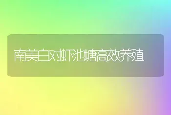 南美白对虾池塘高效养殖