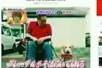 服务犬与主人相守15年，临终前的遗言竟是唤小狗替自己！