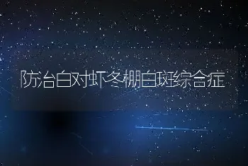 防治白对虾冬棚白斑综合症