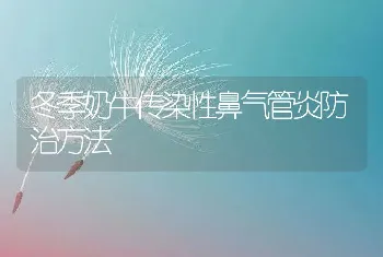 澳洲龙虾高产养殖技术