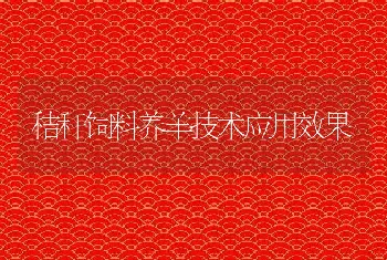 秸秆饲料养羊技术应用效果