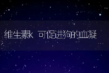 维生素k可促进狗的血凝