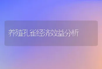 养殖孔雀经济效益分析