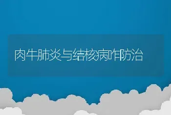 肉牛肺炎与结核病咋防治