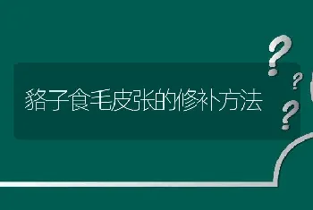 貉子食毛皮张的修补方法