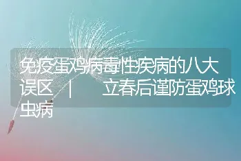 免疫蛋鸡病毒性疾病的八大误区_立春后谨防蛋鸡球虫病