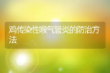 鸡传染性喉气管炎的防治方法