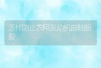 怎样防止农用发动机曲轴断裂