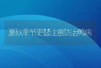 夏秋季节更替注意防治鸭病