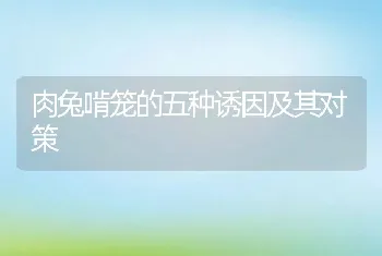 种母山羊的饲养管理要点