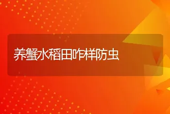 养蟹水稻田咋样防虫