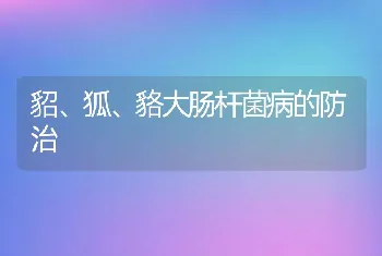 貂、狐、貉大肠杆菌病的防治