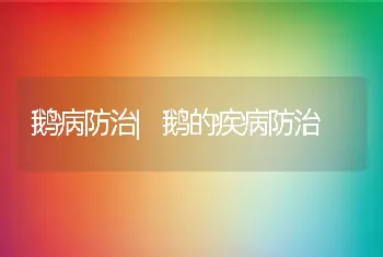 鹅病防治|鹅的疾病防治