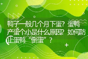 鸭子一般几个月下蛋？蛋鸭产蛋个小是什么原因?如何防止蛋鸭“倒蛋”?