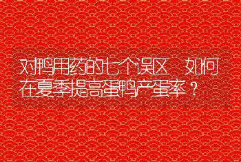 对鸭用药的七个误区 如何在夏季提高蛋鸭产蛋率？