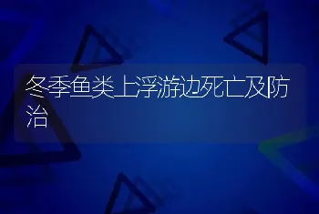 冬季鱼类上浮游边死亡及防治