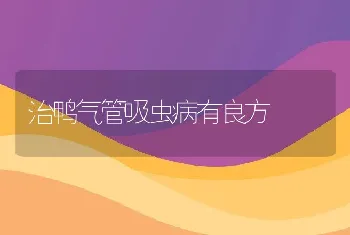 治鸭气管吸虫病有良方