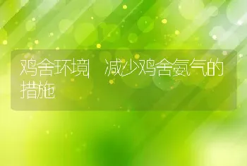 鸡舍环境|减少鸡舍氨气的措施