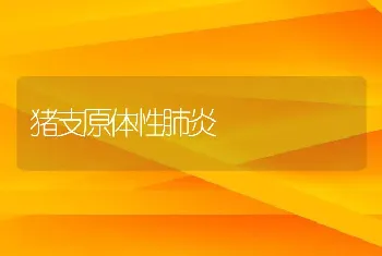 浅谈南美白对虾疾病防控要点