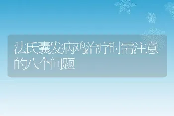 法氏囊发病鸡治疗时需注意的八个问题