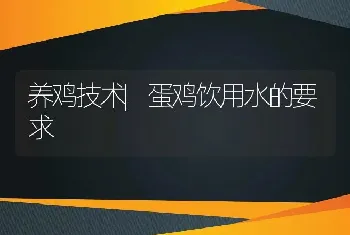 养鸡技术|蛋鸡饮用水的要求